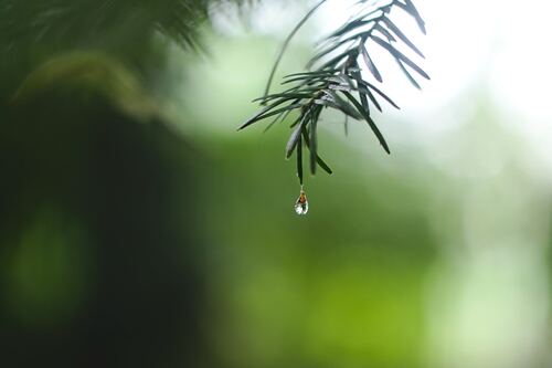 Troi Cung Em Nguyen Si Kha • Rainy Day Memories • 2023